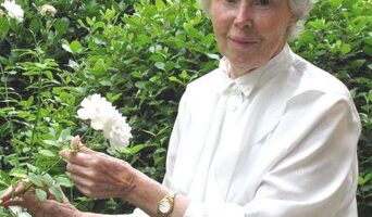 В оккупированной Ялте (1941 – 1944 годы)